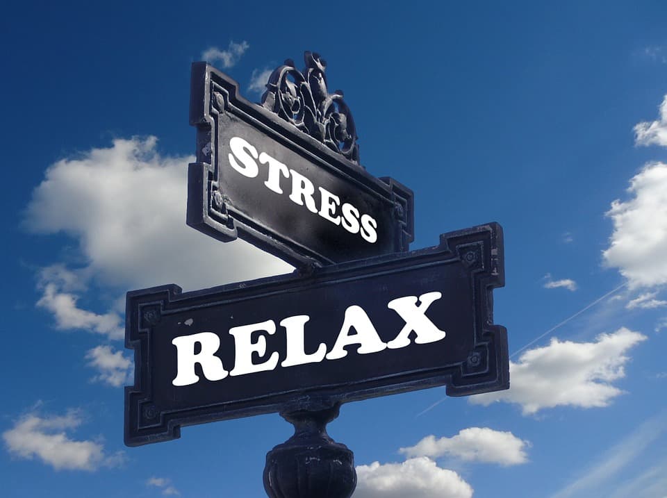 We’re All Stressed, So What?