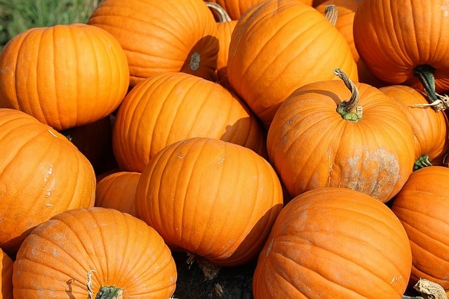 4 Frightfully Easy Tips to Lose Weight This Halloween